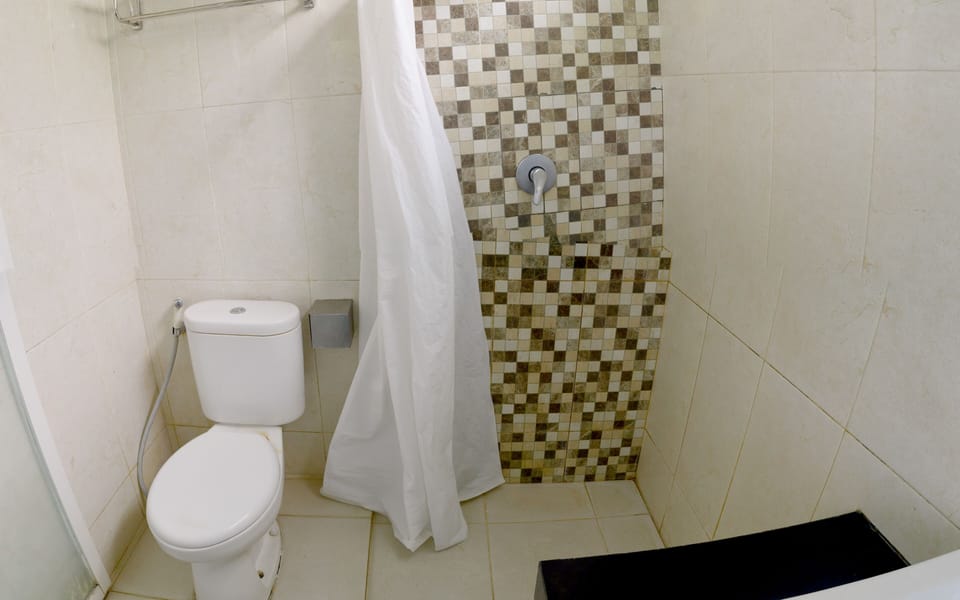 Shower, free toiletries, bidet, towels