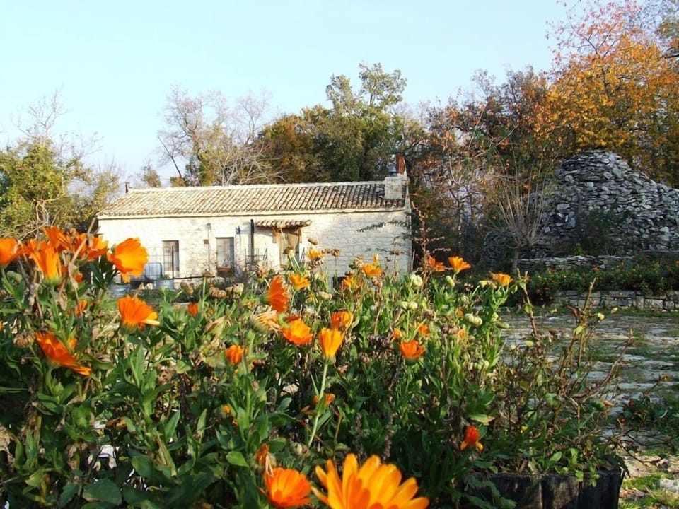 Luxury Apartment (Picchio Rosso-first floor) | View from room