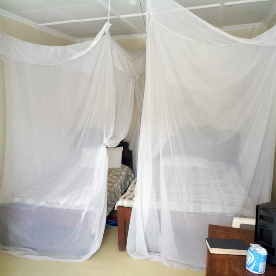 Double or Twin Room | Desk, iron/ironing board, free WiFi, bed sheets