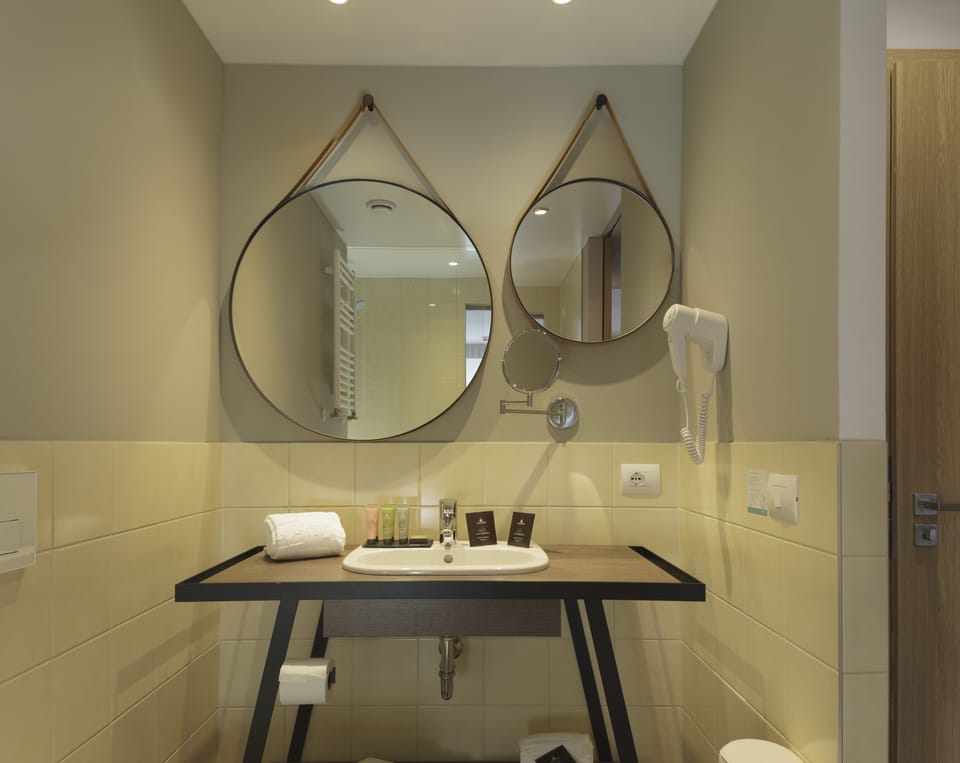 Premium Double Room | Bathroom | Shower, free toiletries, hair dryer, bathrobes