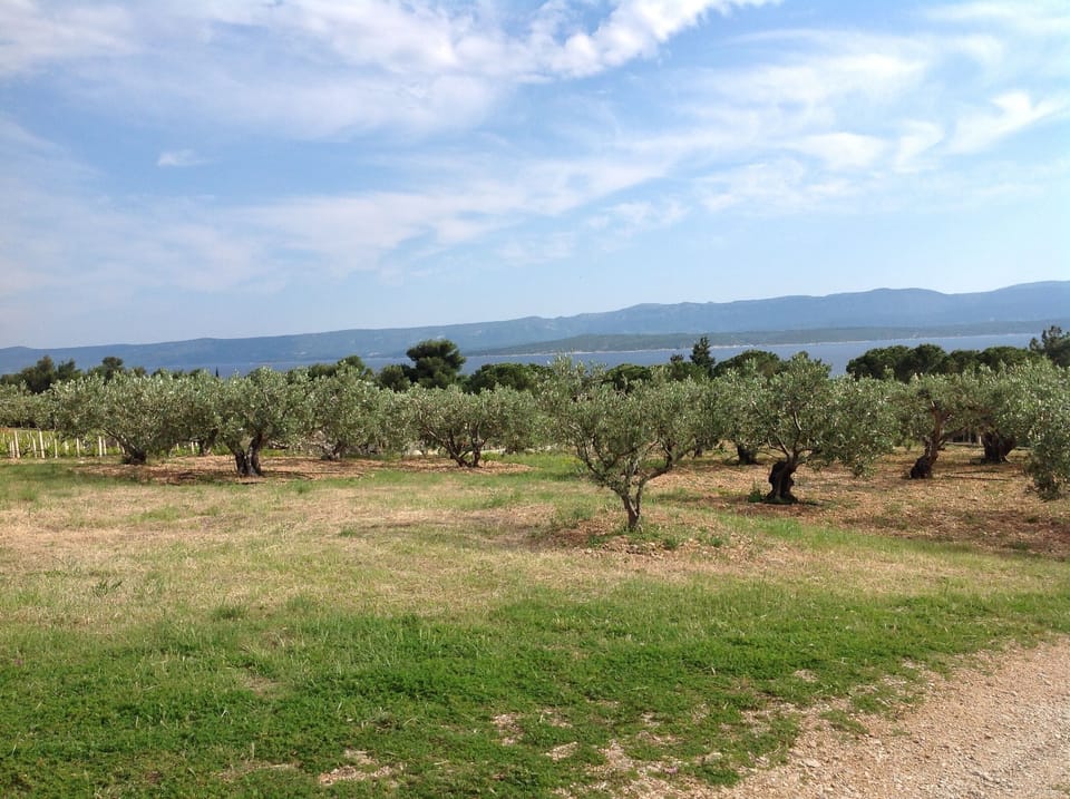 House (Holiday House with Terrace) | View from property