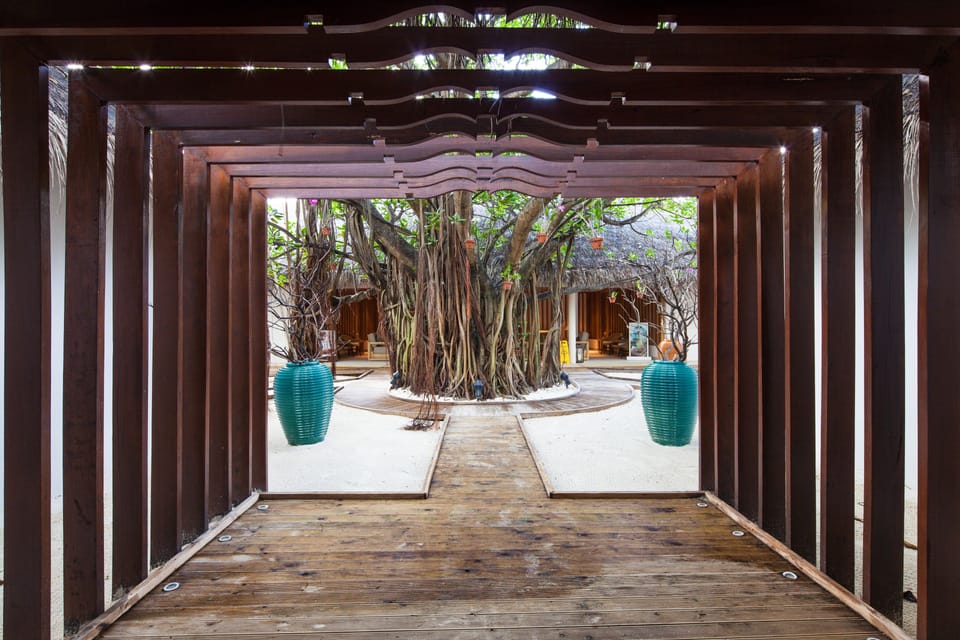 Sauna, hot tub, body treatments, aromatherapy, hot stone massages