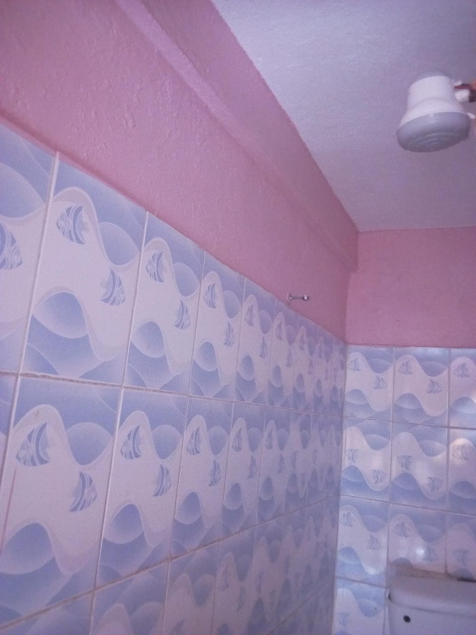 Double Room Single Use | Bathroom shower