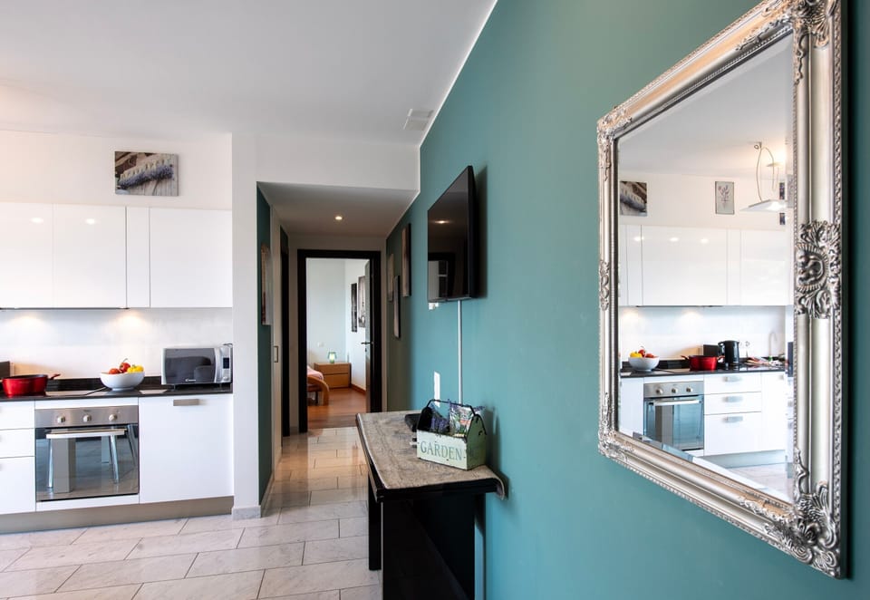 Family Apartment, 1 Bedroom, Balcony (Panoramic Penthouse) | Private kitchen | Full-size fridge, microwave, oven, stovetop