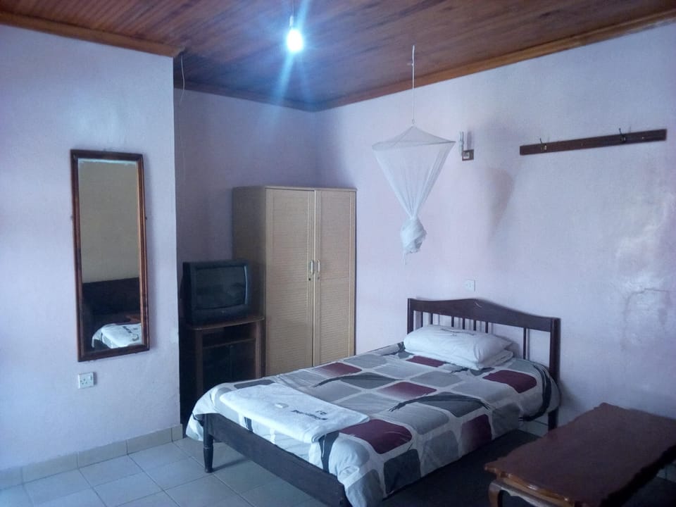 Deluxe Room | Desk, blackout drapes, free WiFi, bed sheets