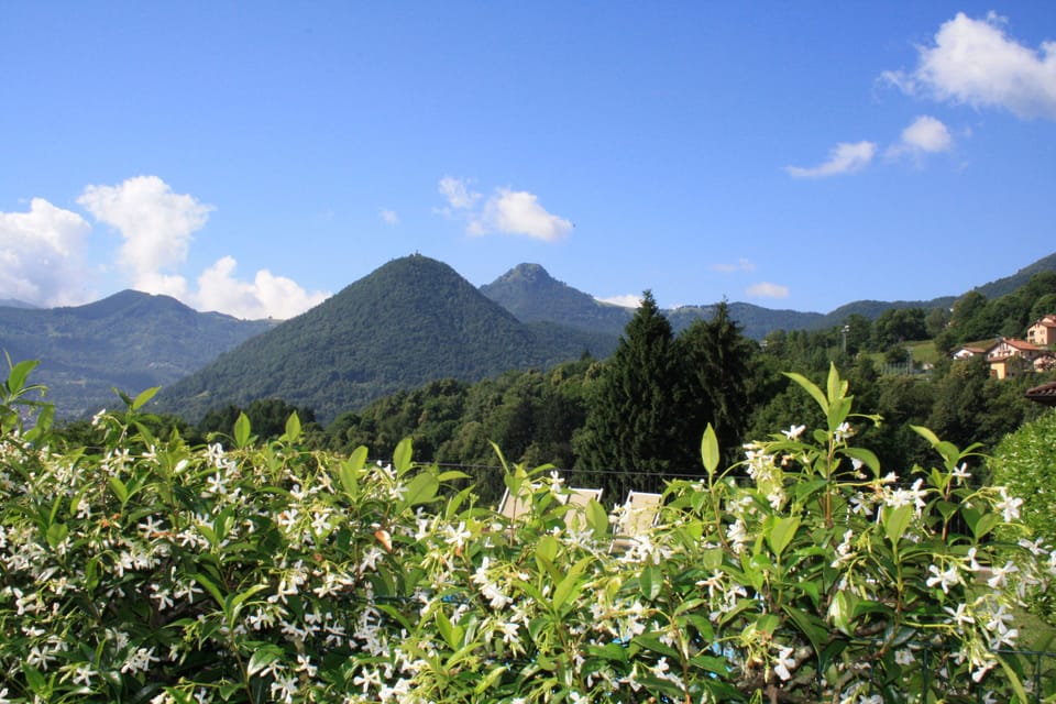 Land view from property