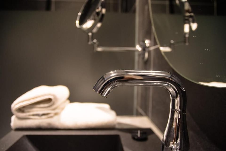 Deluxe Studio, Annex Building | Bathroom | Shower, free toiletries, hair dryer, towels