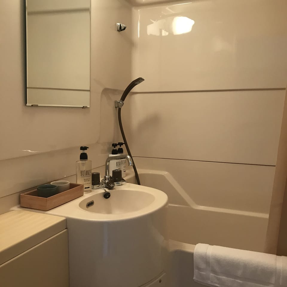 Free toiletries, hair dryer, slippers, towels