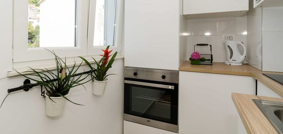 Standard Apartment, 1 Bedroom | Private kitchen | Fridge, microwave, oven, stovetop