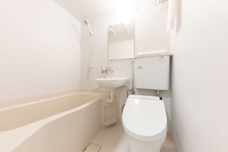 Combined shower/tub, free toiletries, hair dryer, slippers