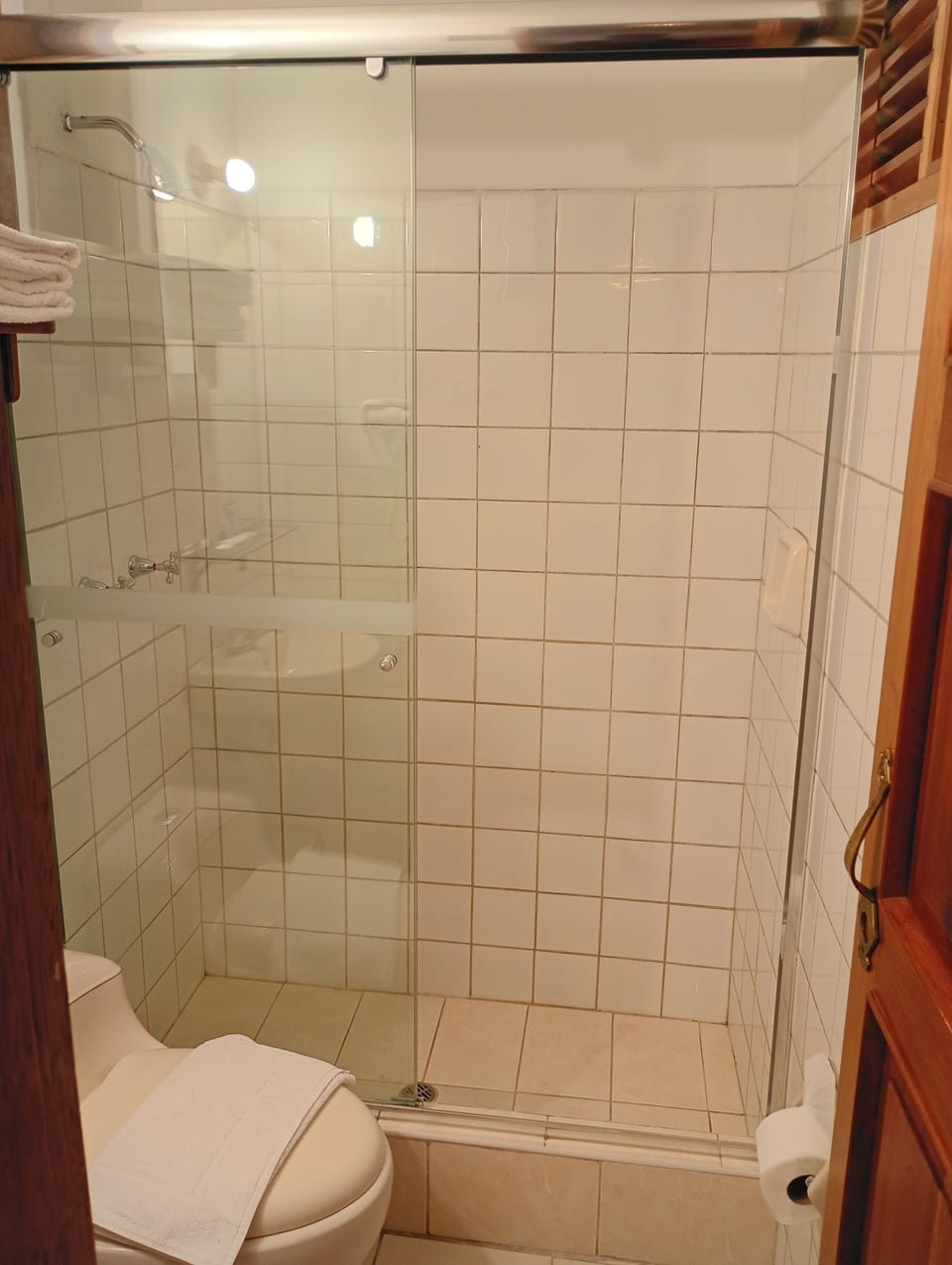 Shower, free toiletries, hair dryer, towels
