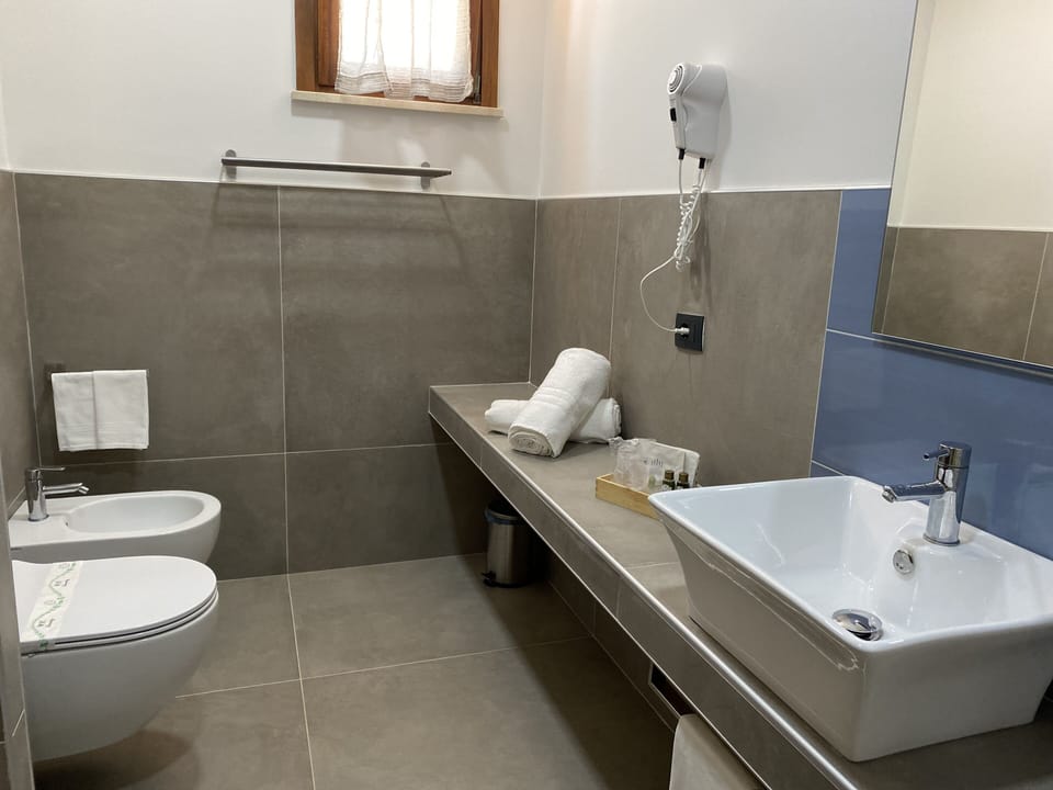 Standard Double Room | Bathroom | Shower, rainfall showerhead, free toiletries, hair dryer