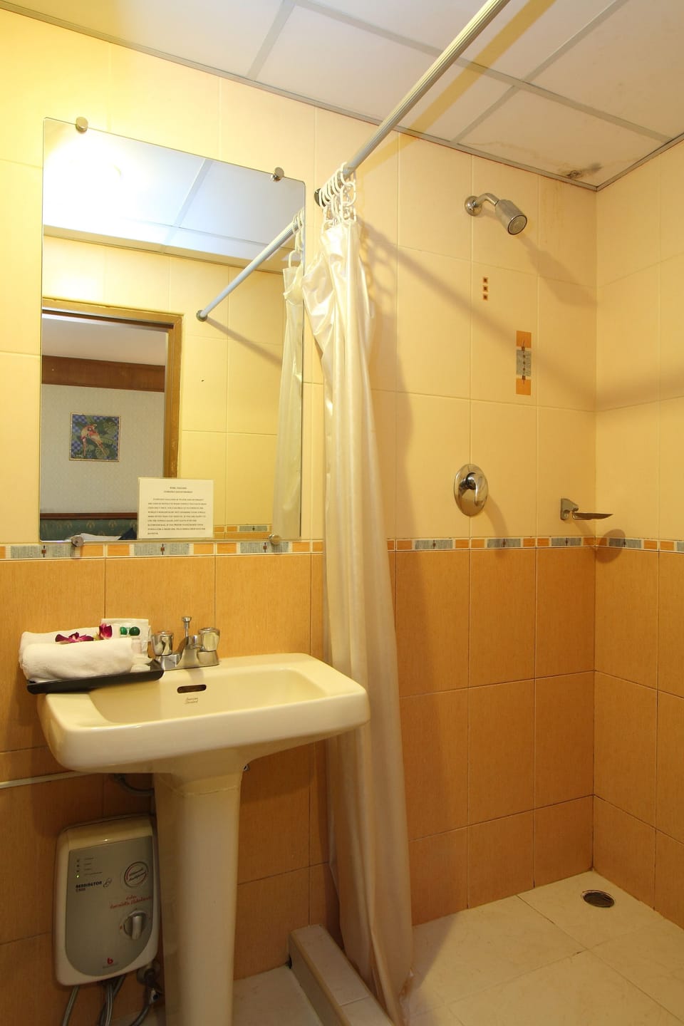 Rainfall showerhead, bidet, towels