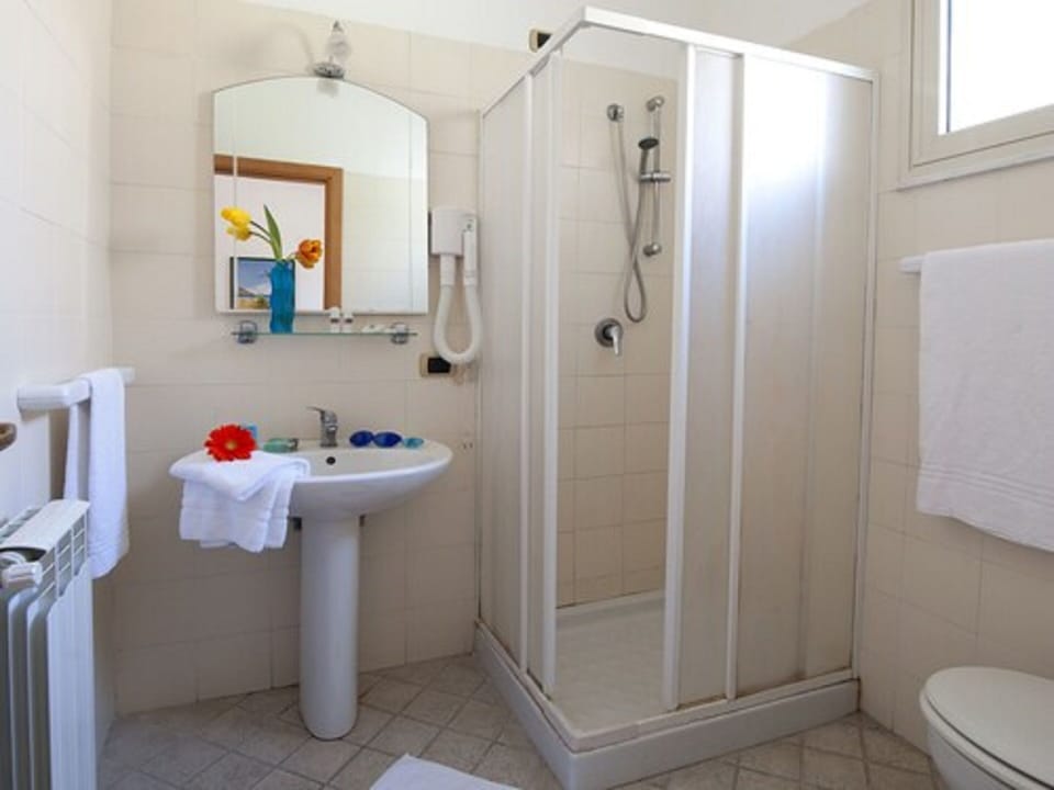 Shower, free toiletries, hair dryer, bidet