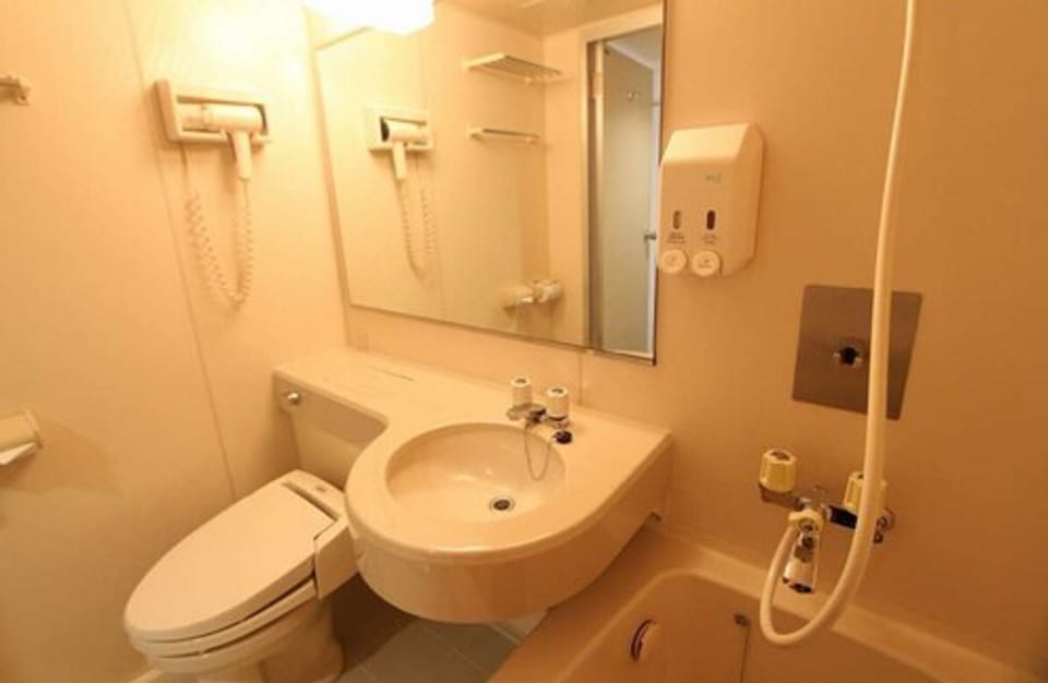 Combined shower/tub, free toiletries, hair dryer, slippers
