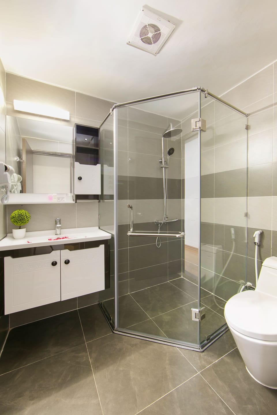Shower, hydromassage showerhead, free toiletries, hair dryer