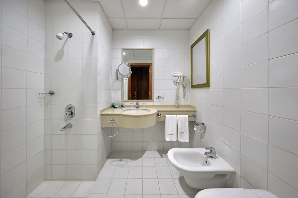 Combined shower/tub, hair dryer, bidet, towels
