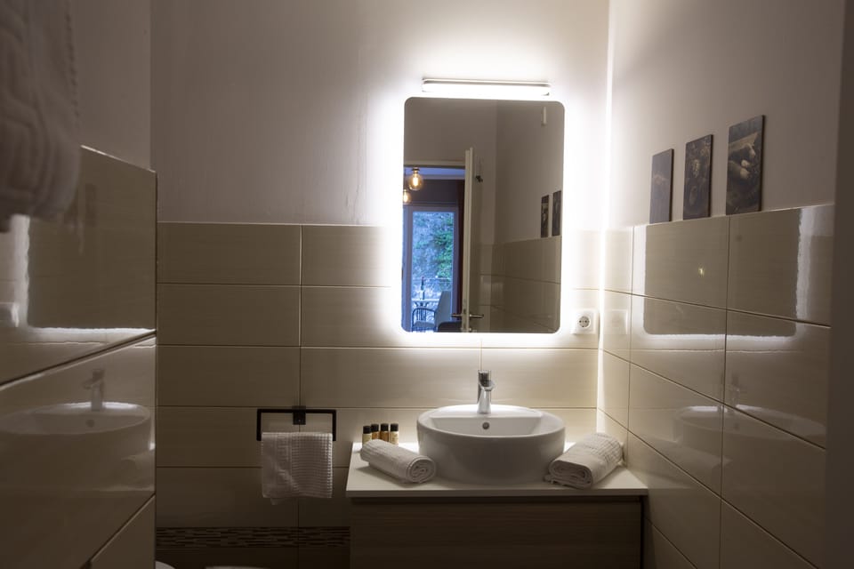 Family Room | Bathroom | Shower, free toiletries, hair dryer, towels