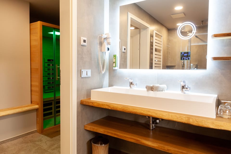 Deluxe Suite | Bathroom | Shower, rainfall showerhead, free toiletries, hair dryer