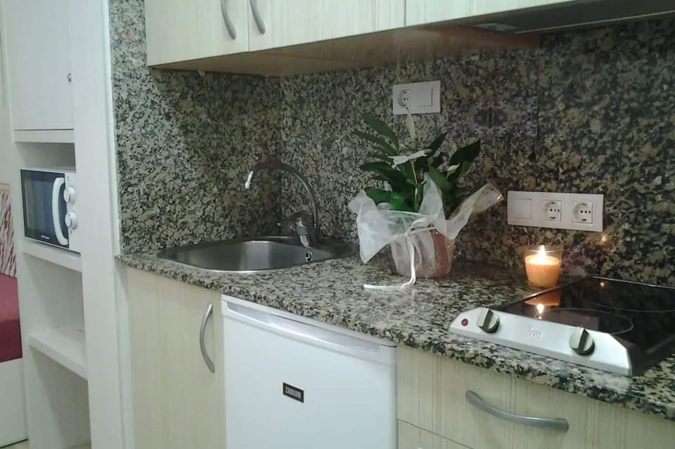 Apartment, 1 Bedroom | Private kitchen | Full-size fridge, microwave, stovetop, coffee/tea maker