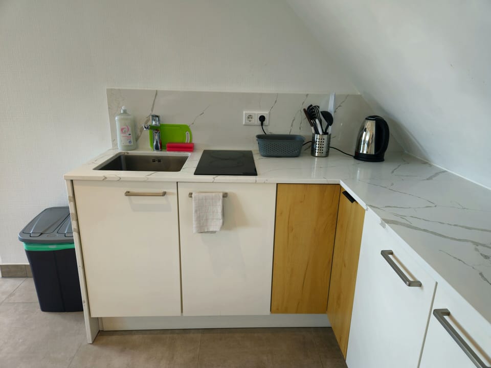 Deluxe Studio Suite, Multiple Beds, Kitchen | Private kitchen | Fridge, electric kettle
