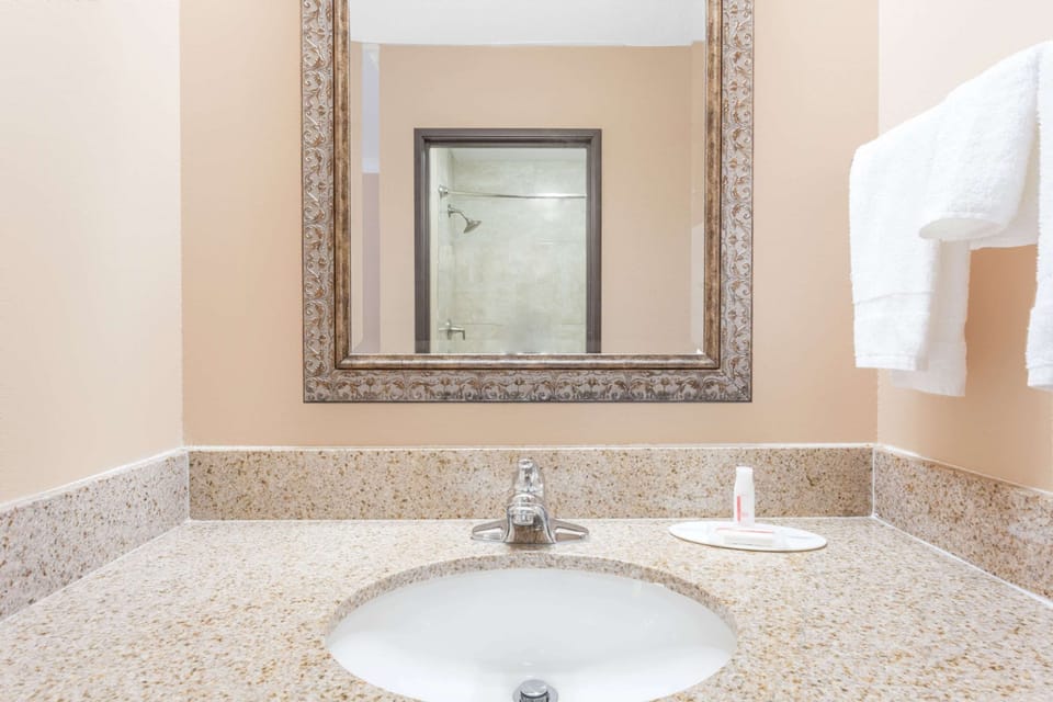 Combined shower/tub, free toiletries, hair dryer, towels