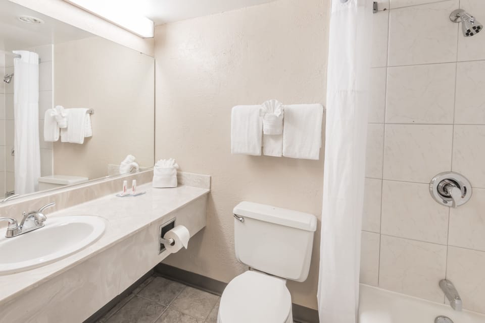 Free toiletries, hair dryer, towels