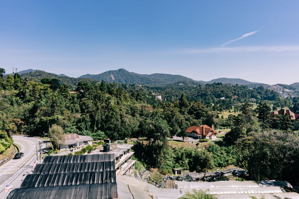 View from room