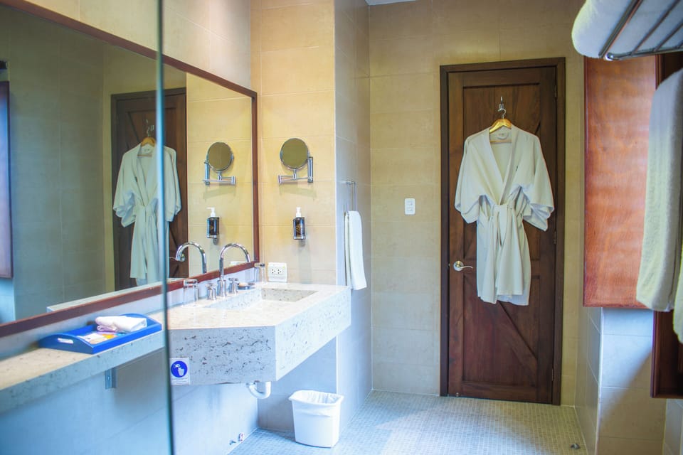 Shower, rainfall showerhead, hair dryer, bathrobes