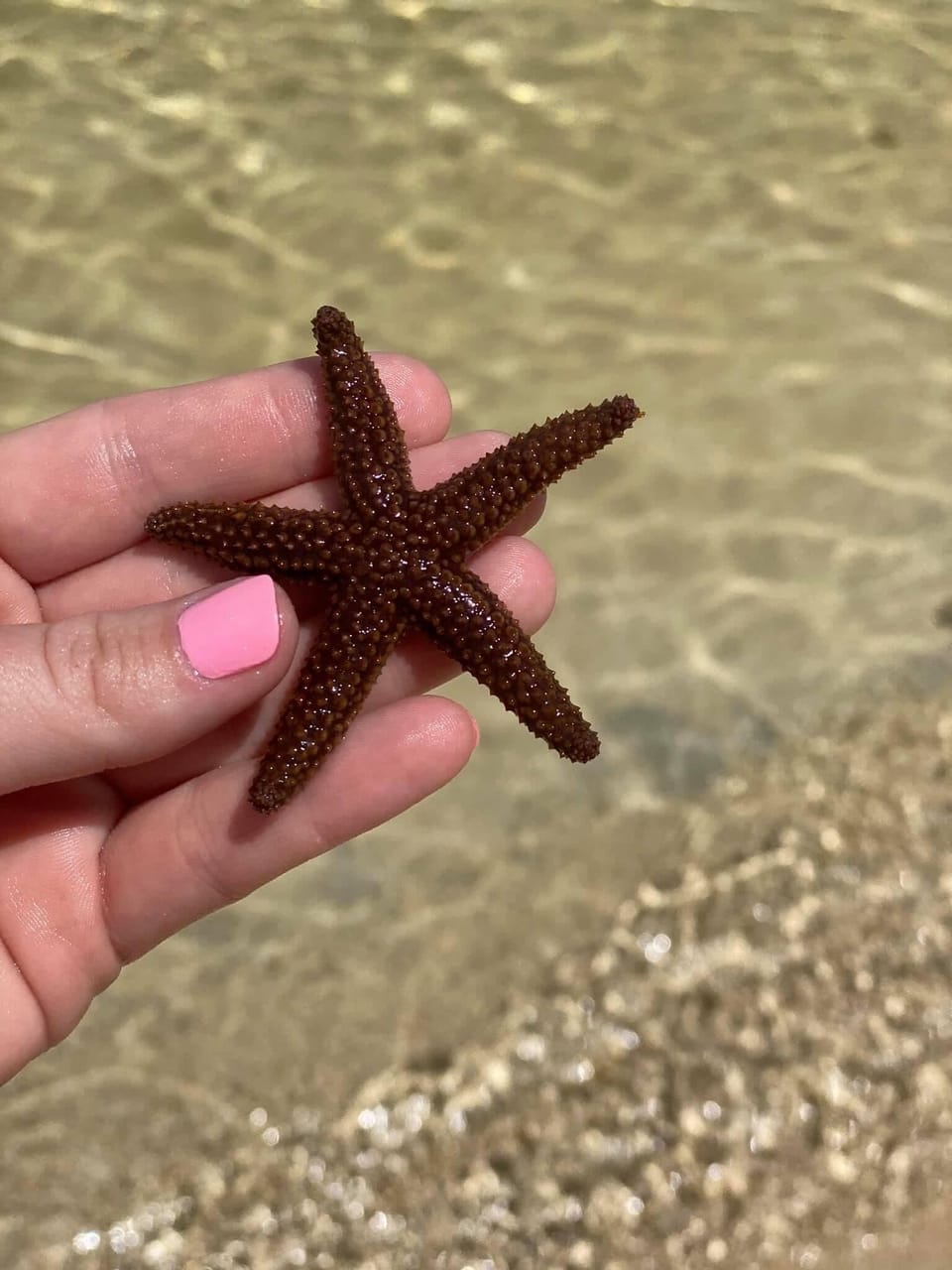 Private beach, free beach cabanas, sun loungers, snorkeling