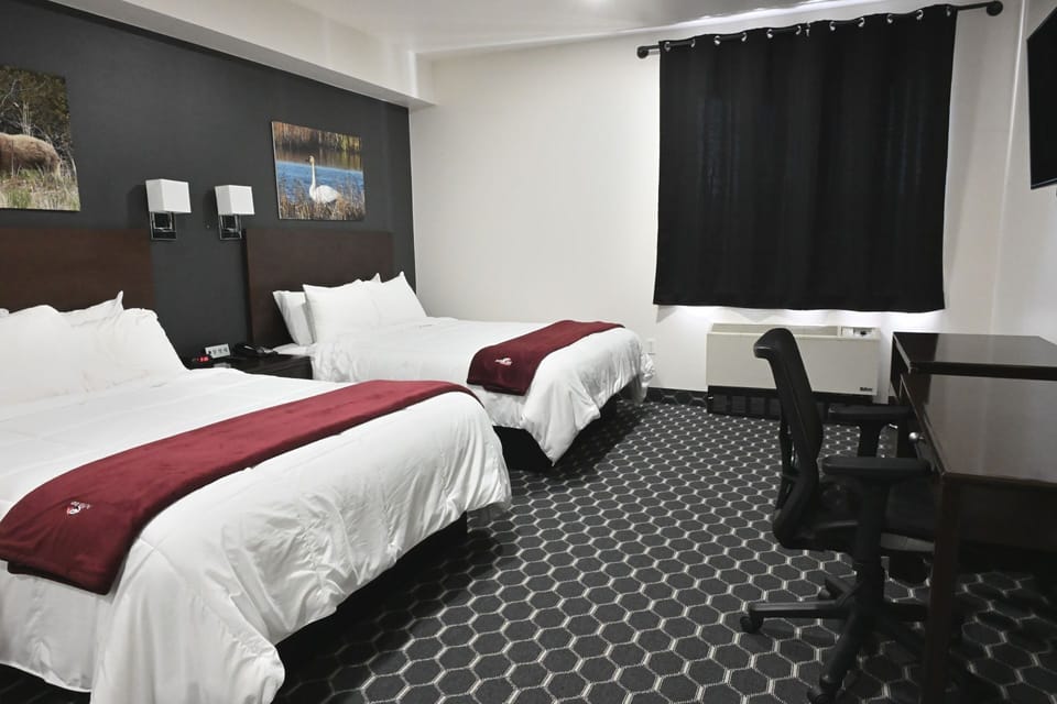 Deluxe, 2 Queen Beds | Down comforters, pillowtop beds, desk, laptop workspace