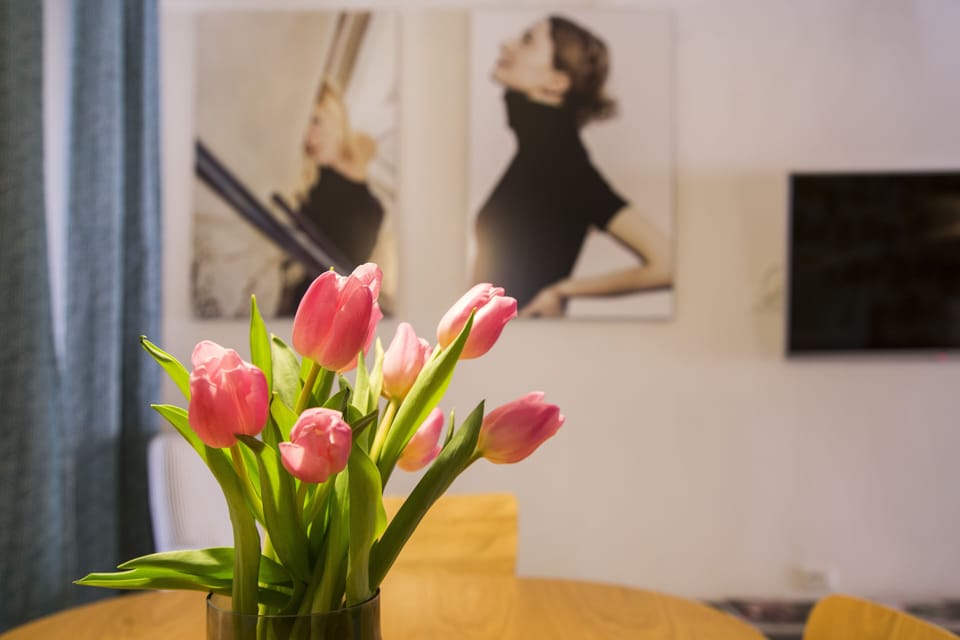 Apartment, 2 Bedrooms | Room amenity