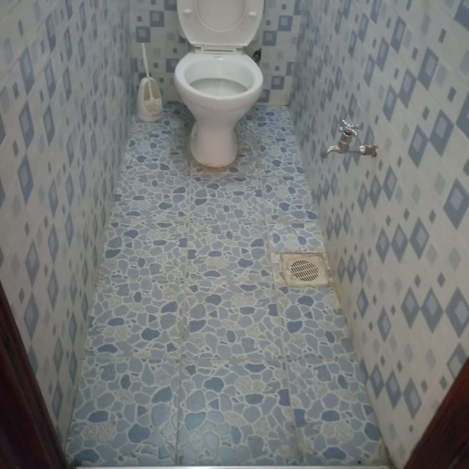 Shower, towels, soap, toilet paper