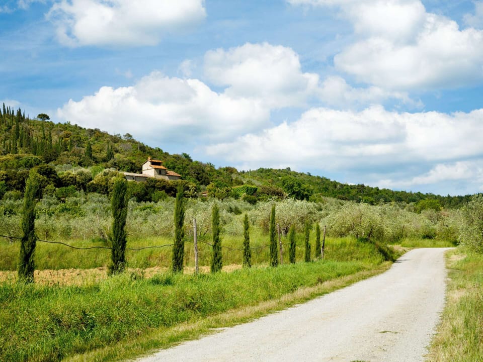 House | View from property