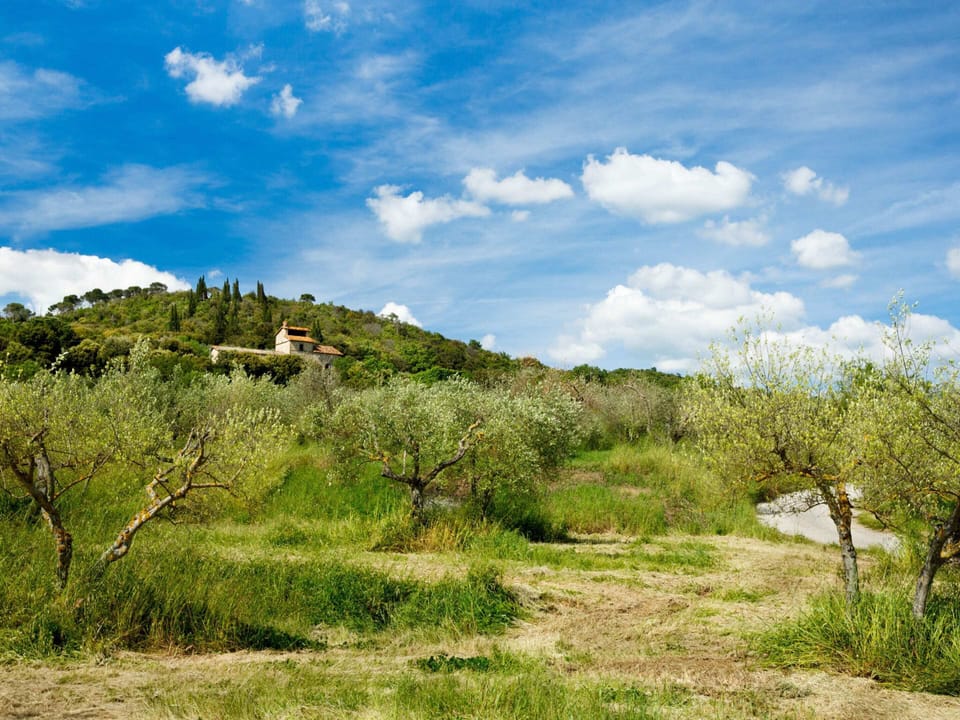 House | View from property