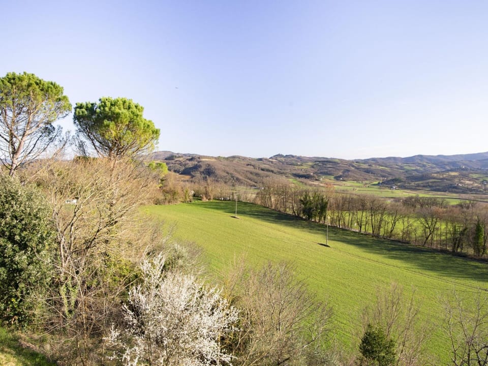 House | View from property