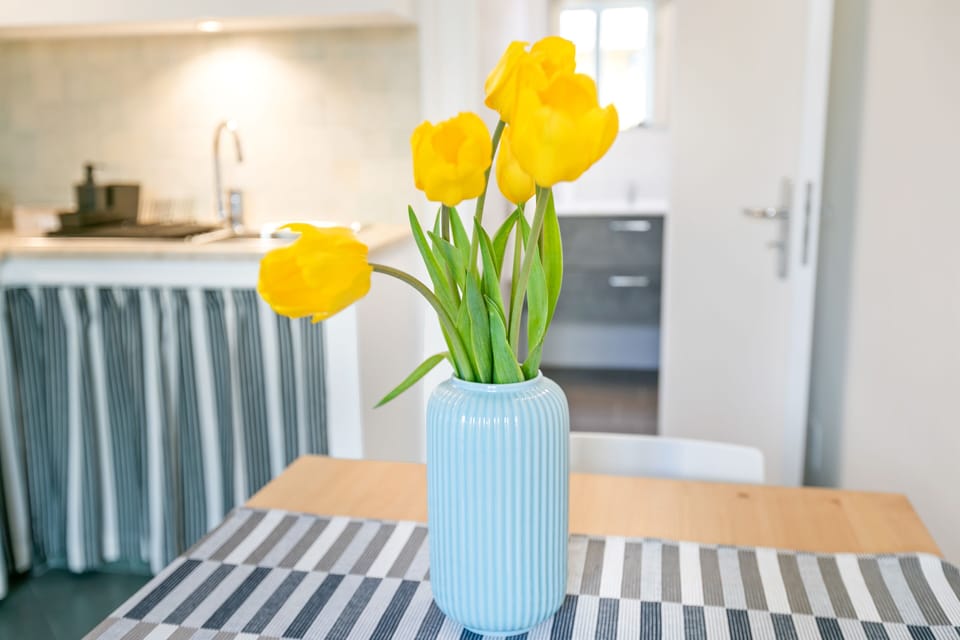 Apartment, 1 Bedroom | Room amenity