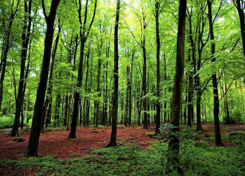 House | View from property