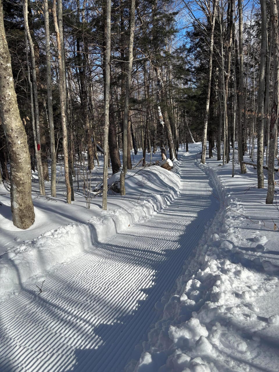 Skiing