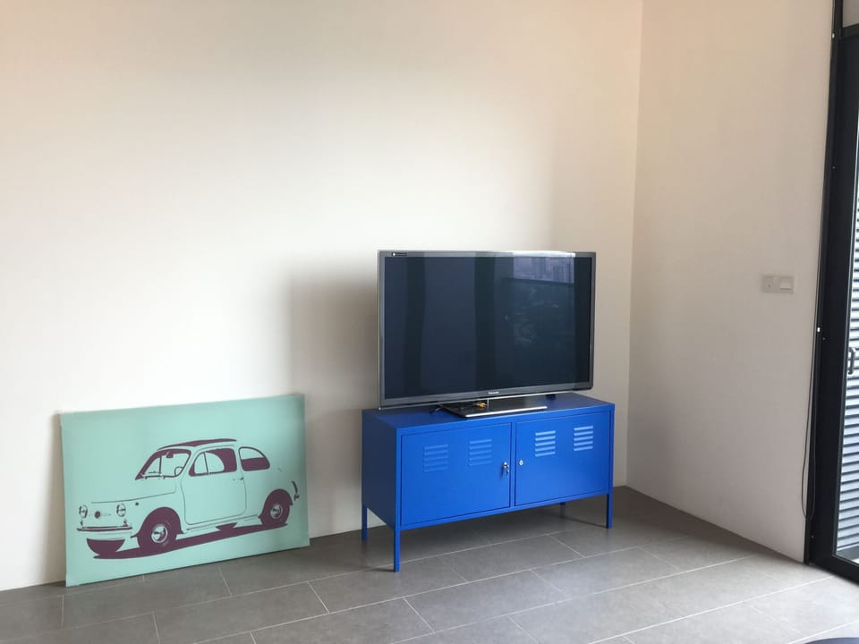 Television