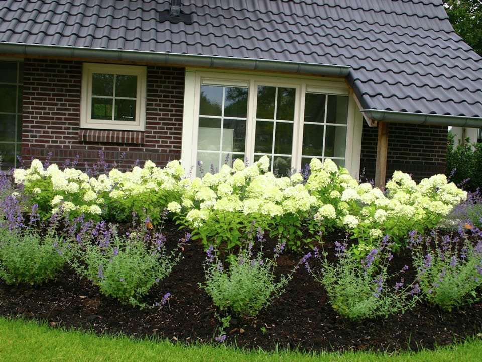 Villa | Garden