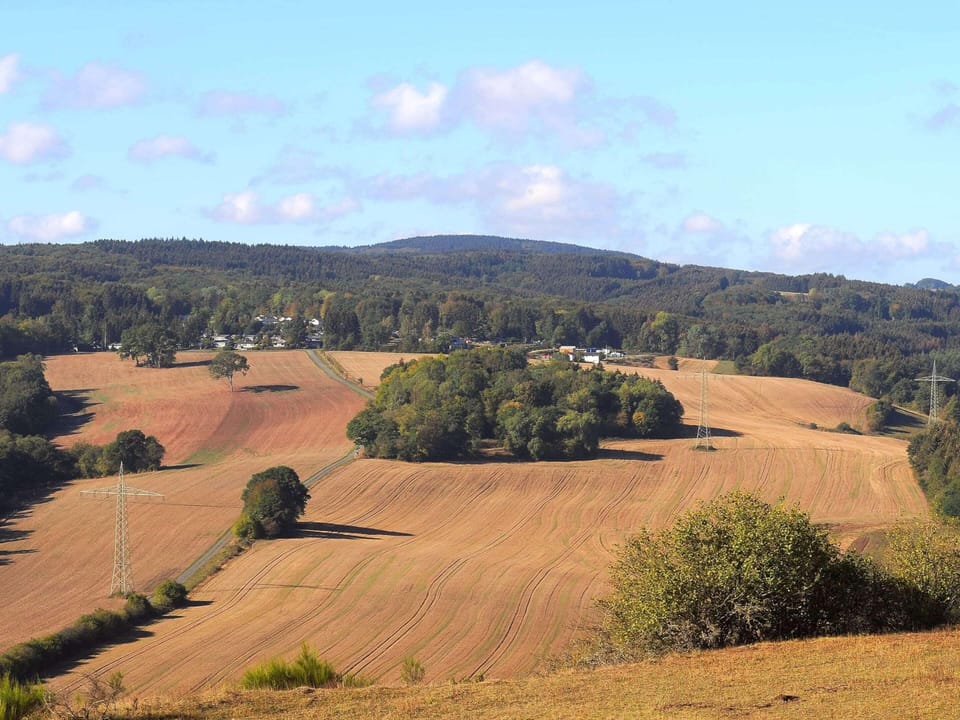 Chalet | View from property