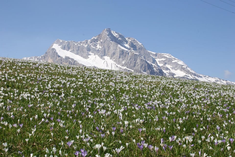 Mountain view