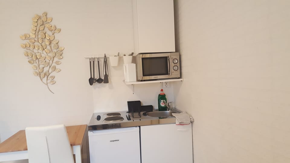 Deluxe Double Room | Private kitchen | Fridge, microwave, stovetop, dishwasher