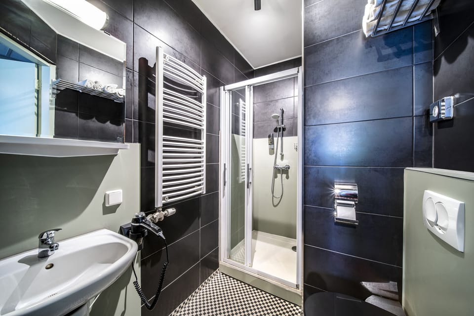 Shower, free toiletries, hair dryer, towels