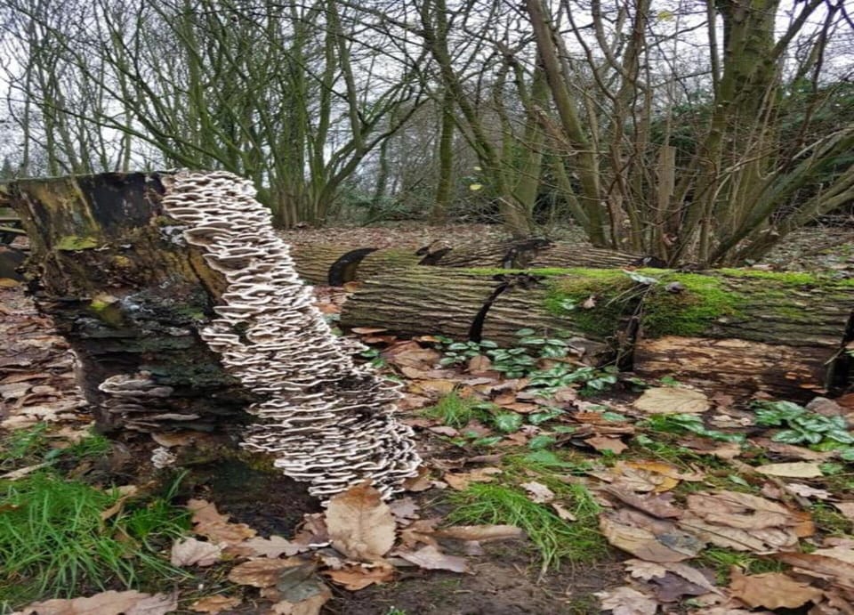 Villa | View from property