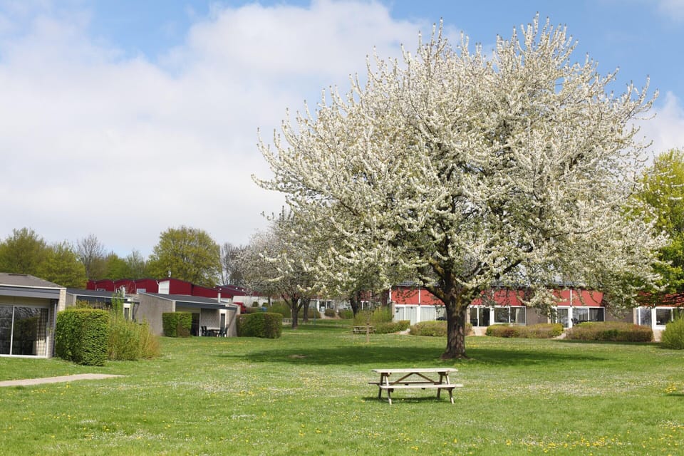 Bungalow | Garden