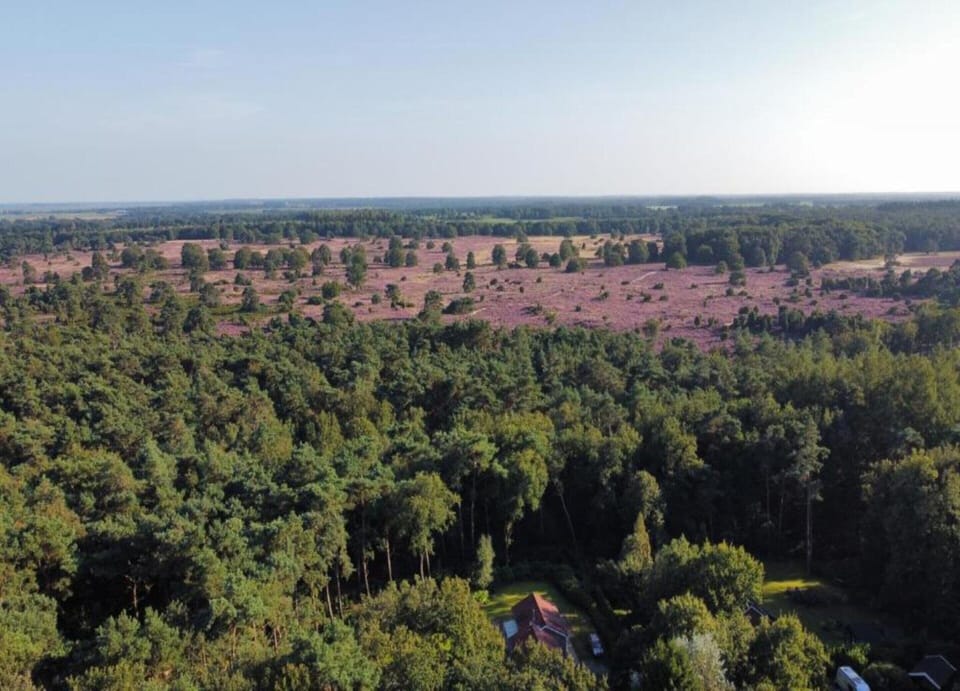 Chalet | View from property
