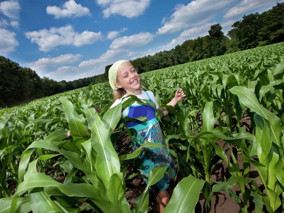 Villa | Interior detail