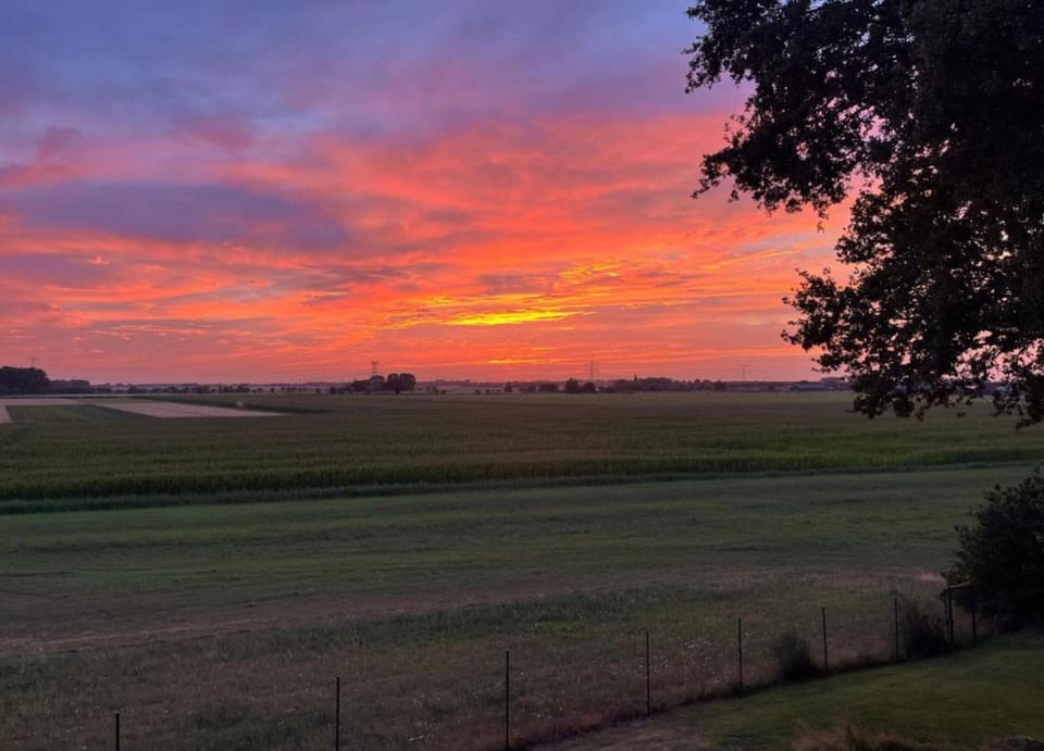 House | View from property